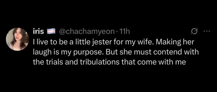 A hilarious meme from Iris about being a jester for her wife, making her laugh, for procrastinating.
