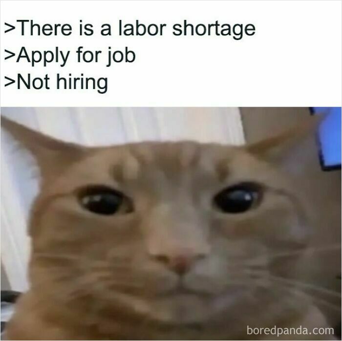 An orange cat meme with wide eyes, looking at text about a labor shortage and not hiring.