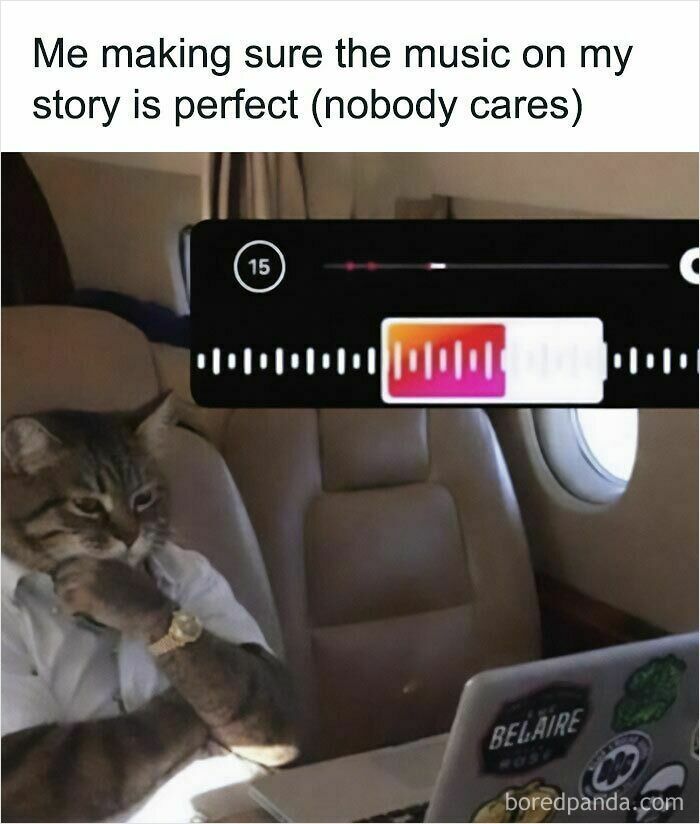 Cat memes: A cat in a suit in a private jet, looking at a laptop and curating music for a story.