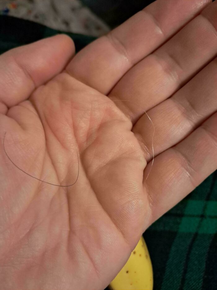A close-up of a human palm with two short strands of hair, highlighting interesting unexpected moments.