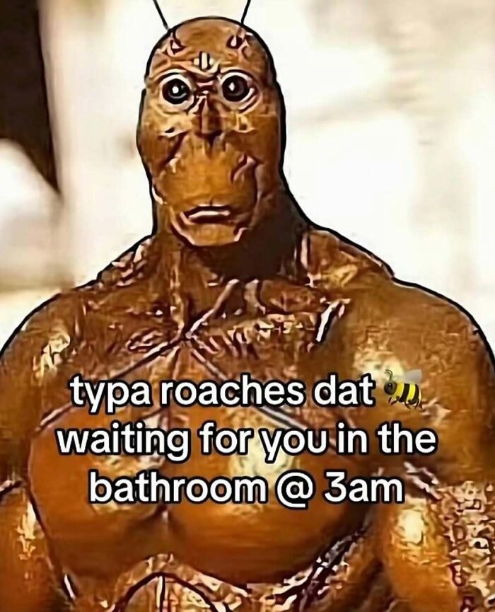 An unhinged meme depicting a roach-like creature representing those waiting in the bathroom at 3 am to change your mood.