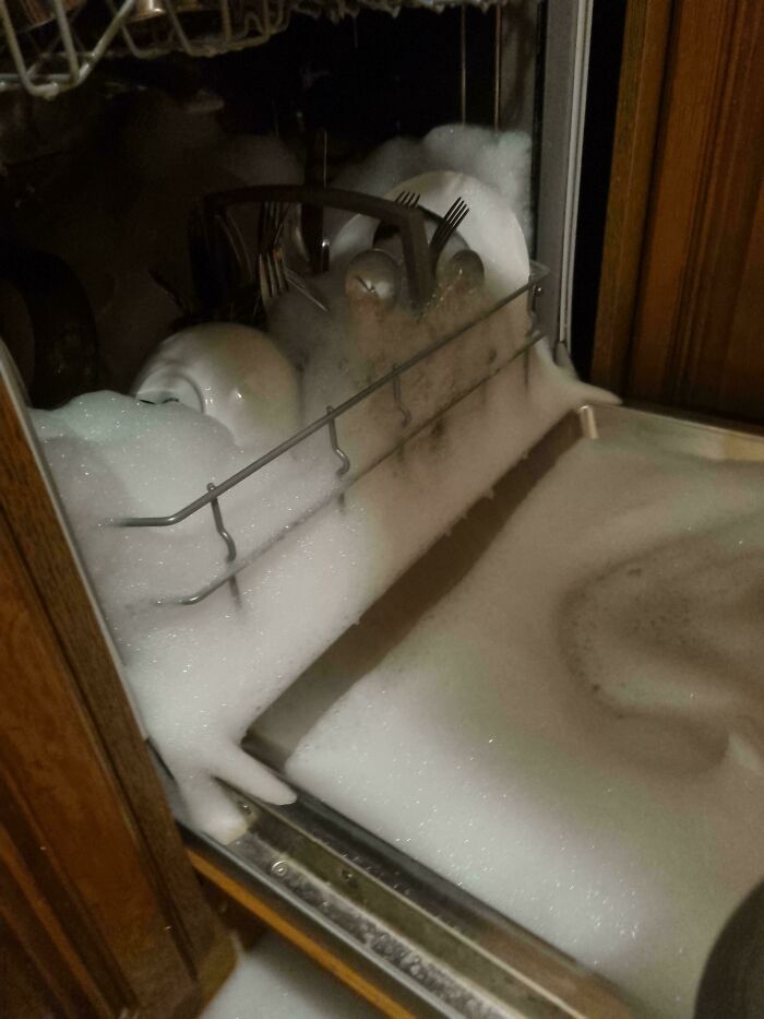 Obstacle: Dishwasher overflowing with excessive suds, a mildly infuriating obstacle to a perfectly good day.