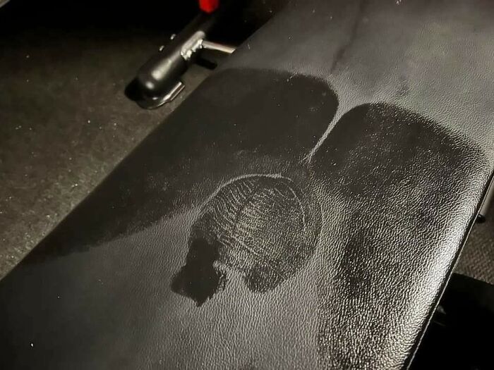 A clear imprint of a face on a gym bench, a mildly infuriating obstacle of sweat left behind by someone.