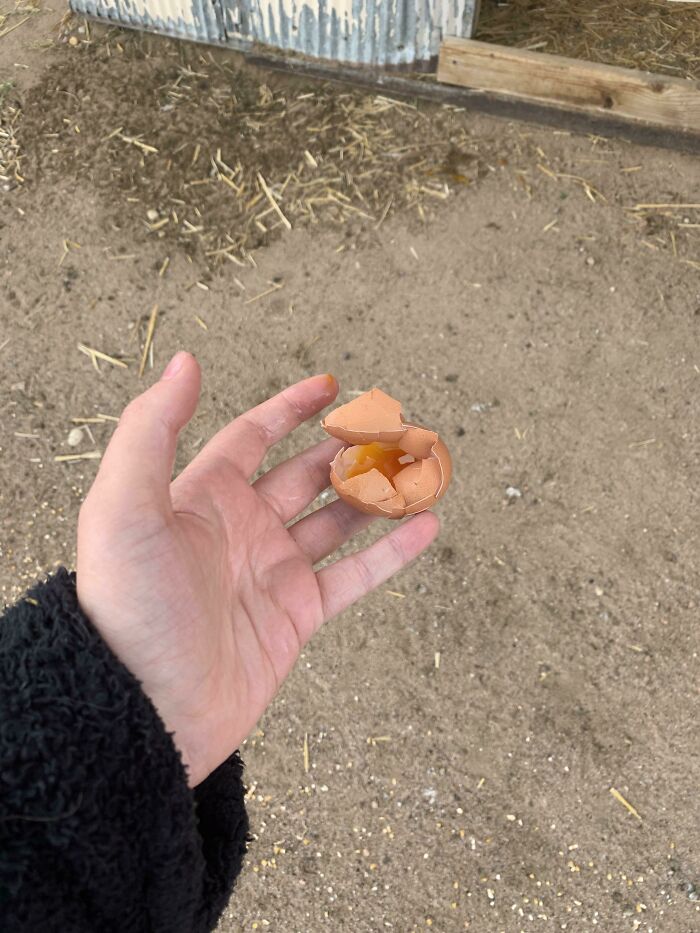 A hand holds a cracked egg with yolk exposed, a mildly infuriating obstacle to a good day.