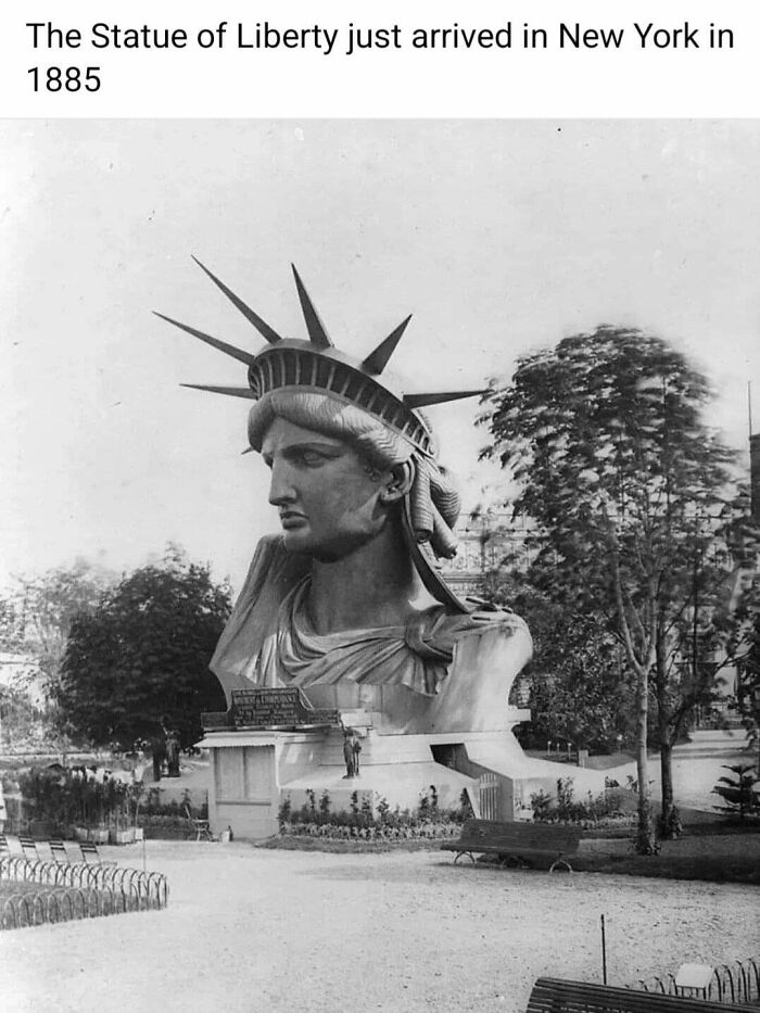 The head of the Statue of Liberty displayed in a park, a rare photo from American history.
