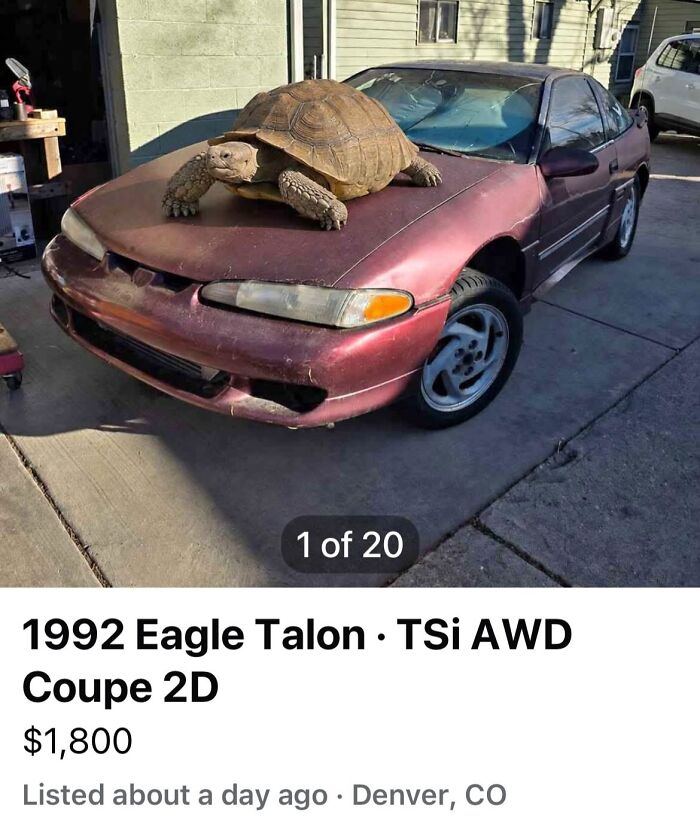 A Sulcata tortoise on the hood of a red 1992 Eagle Talon, showcasing a weird online marketplace listing.