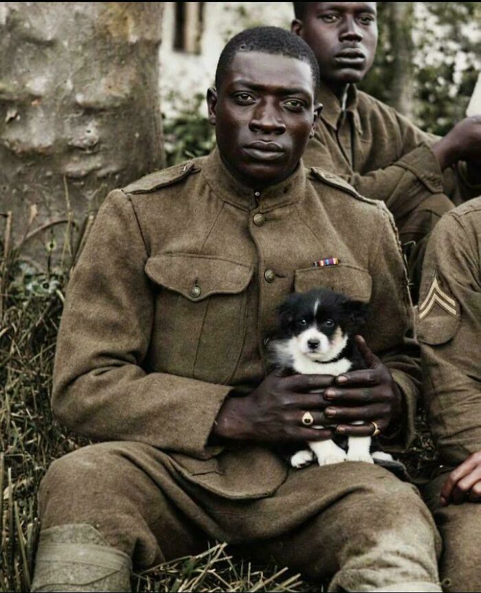 Fascinating American History photo: A soldier holds a small puppy, looking directly at the camera.