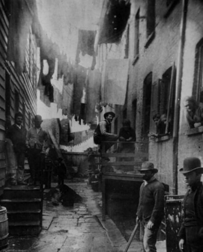 A rare and fascinating photo from American history showing a crowded alleyway with people and clotheslines.