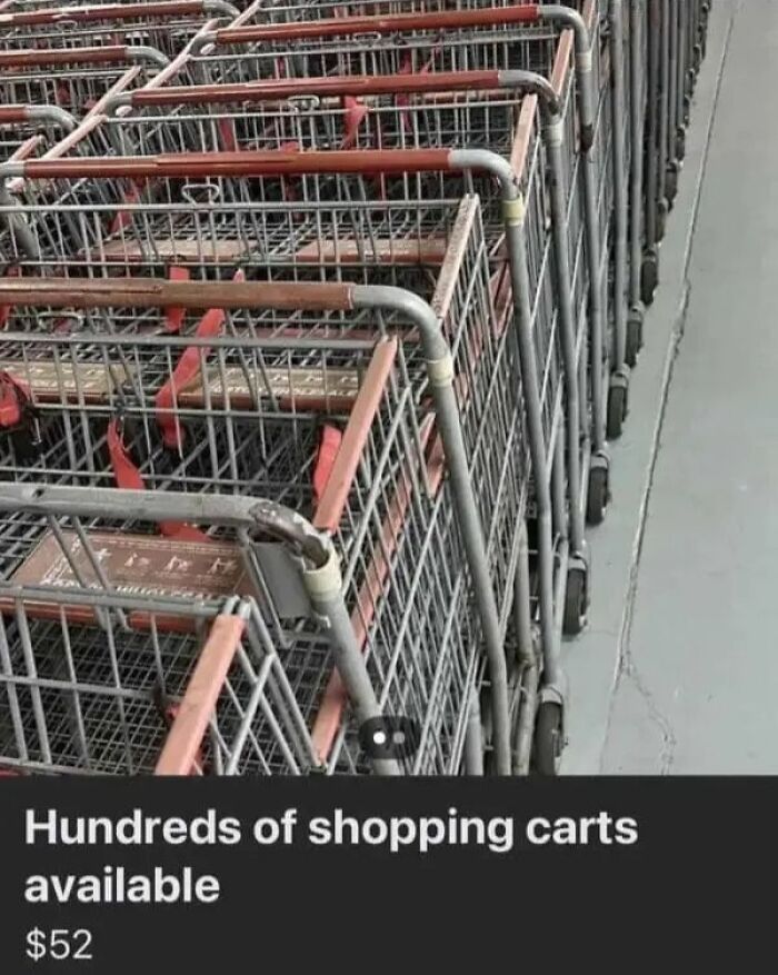 Online marketplace screenshot shows hundreds of shopping carts for sale at $52, proving it is a magnet for weirdest people.