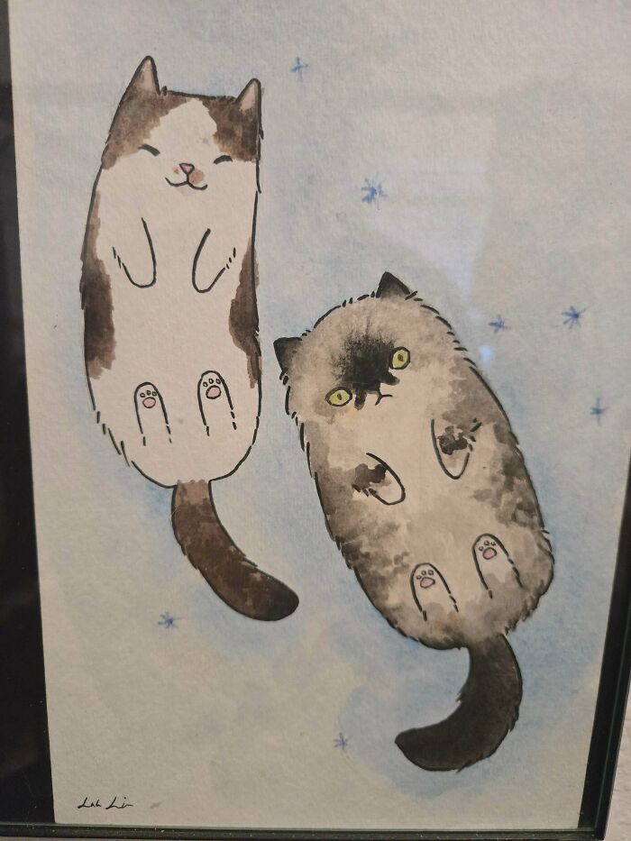 Two watercolor cats, one brown and white and one grey, floating on a light blue background, representing the internet's magic in finding lost hope.