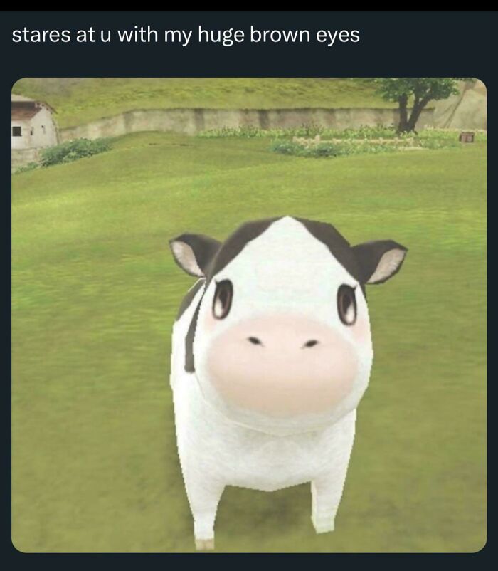 A cartoon-like cow stares at the camera with large brown eyes, bringing hope to find lost things on the internet.