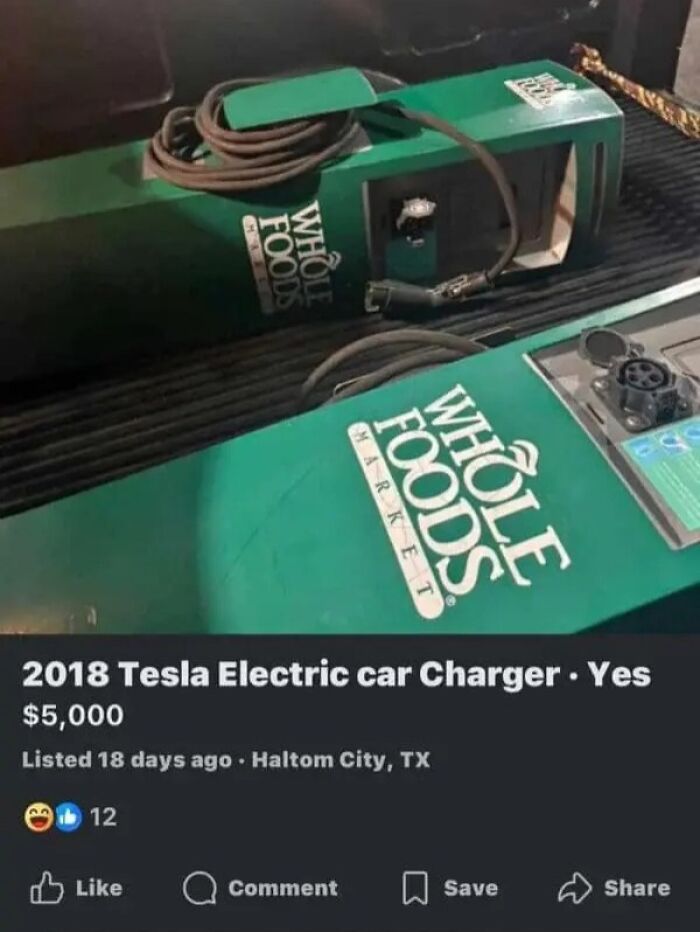 Online marketplace screenshot featuring a Whole Foods branded 2018 Tesla Electric Car Charger, a peculiar find for weird people.