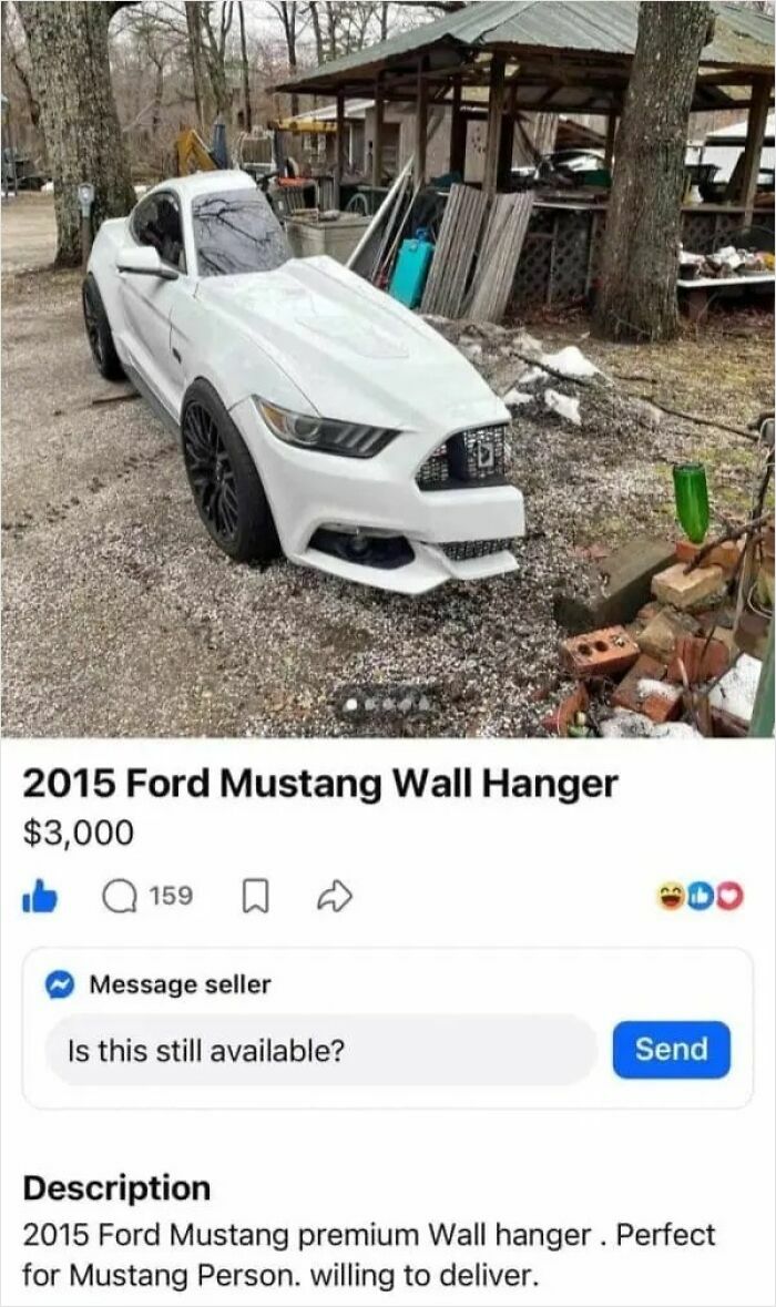 Online marketplace screenshot of a 2015 Ford Mustang Wall Hanger, showcasing a bizarre item for weird people.