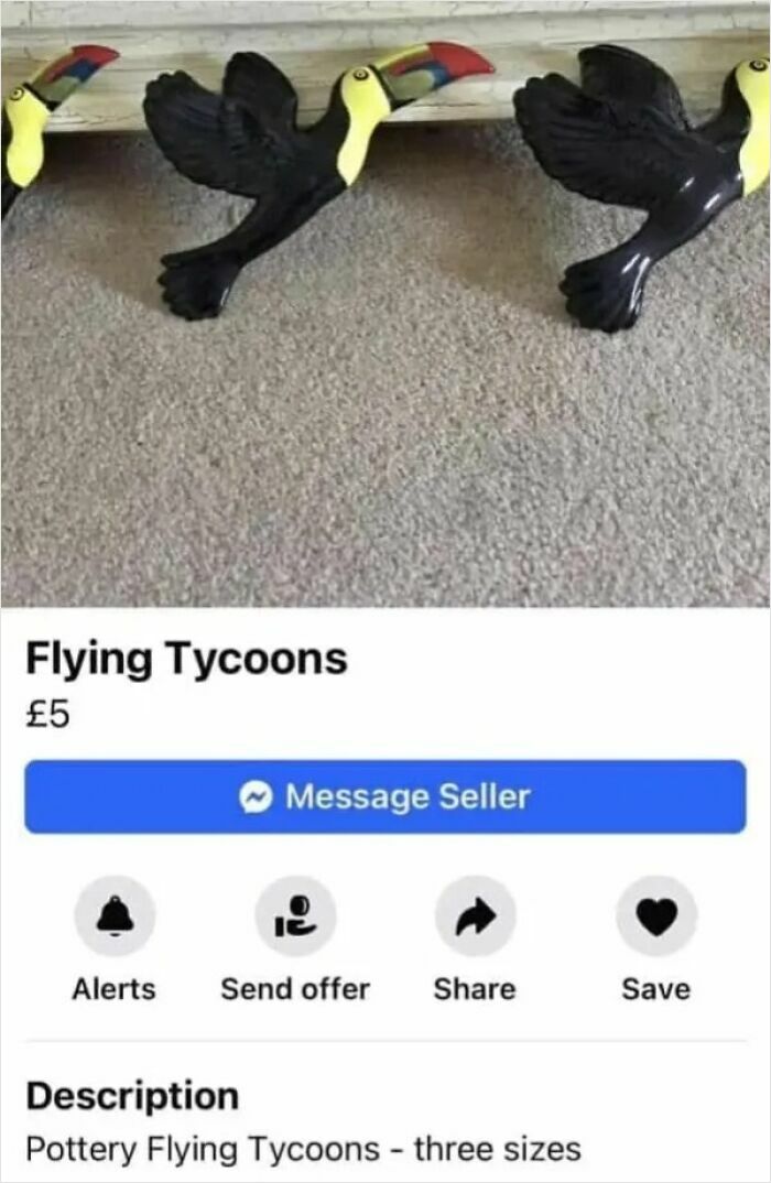 Online marketplace screenshot displaying three toucan decorations described as Flying Tycoons, a weird find on online marketplaces.