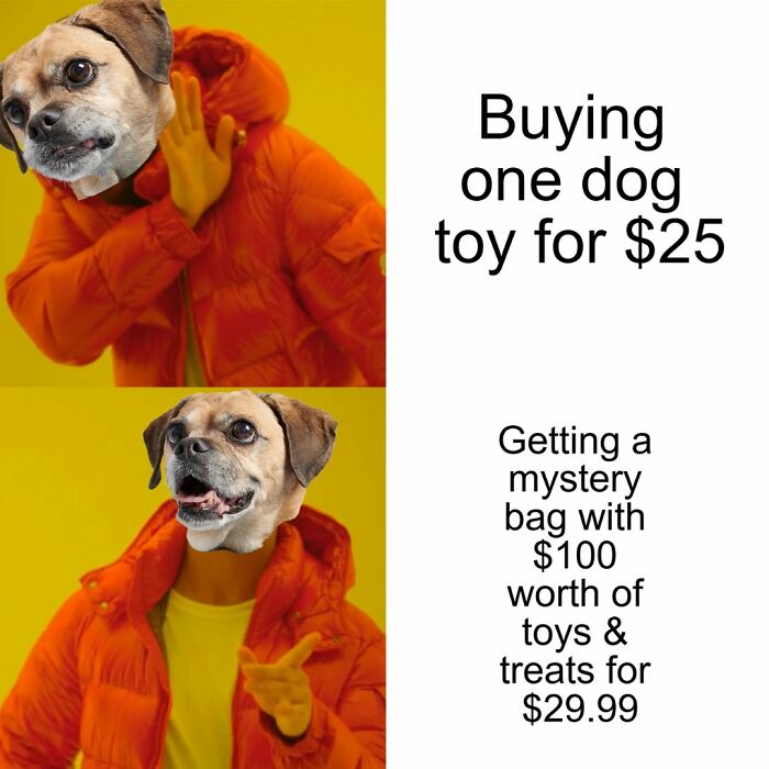 A meme comparing buying one dog toy for $25 versus a mystery bag of dog toys and treats for $29.99.
