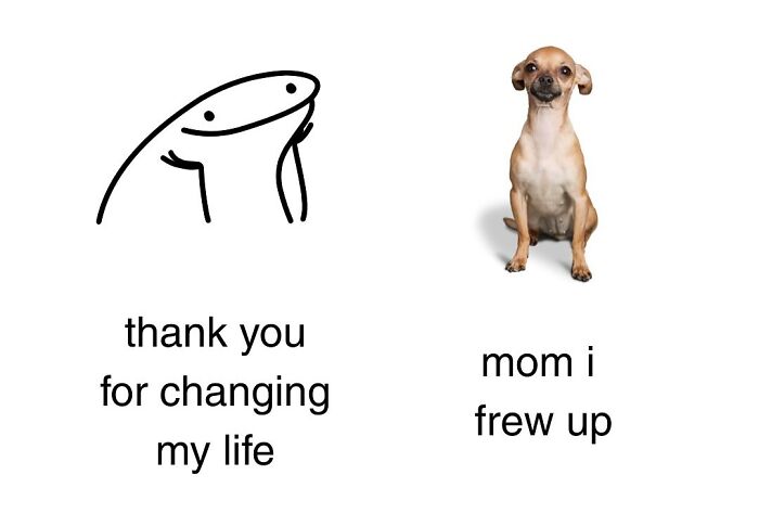 A meme with a stick figure saying thank you for changing my life, next to a chihuahua dog toy.