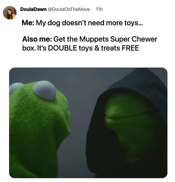 A meme with Kermit the Frog looking at an evil Kermit. Relatable dog toy maker meme.