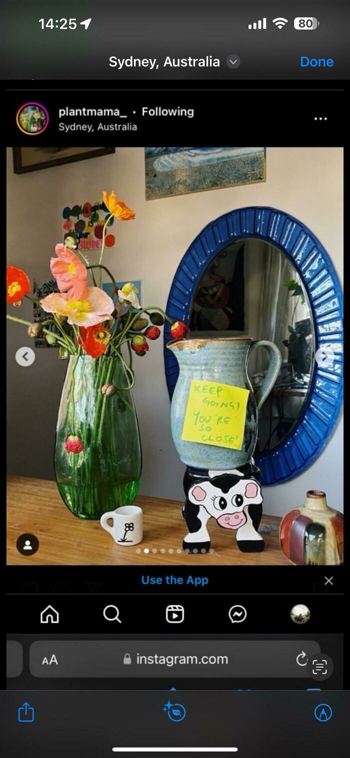 A screenshot of an Instagram post featuring a vase with flowers and a jug with a motivational note, showcasing hope to find inspiration.