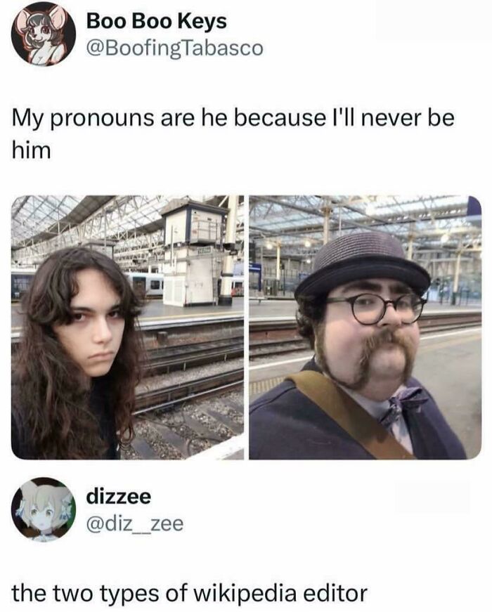 A blursed image showing two distinct types of people, labeled as Wikipedia editors, with a comment about pronouns.