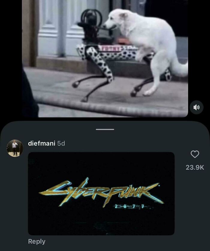 A blursed image featuring a white dog with a human-like body and the Cyberpunk 2077 logo below it.