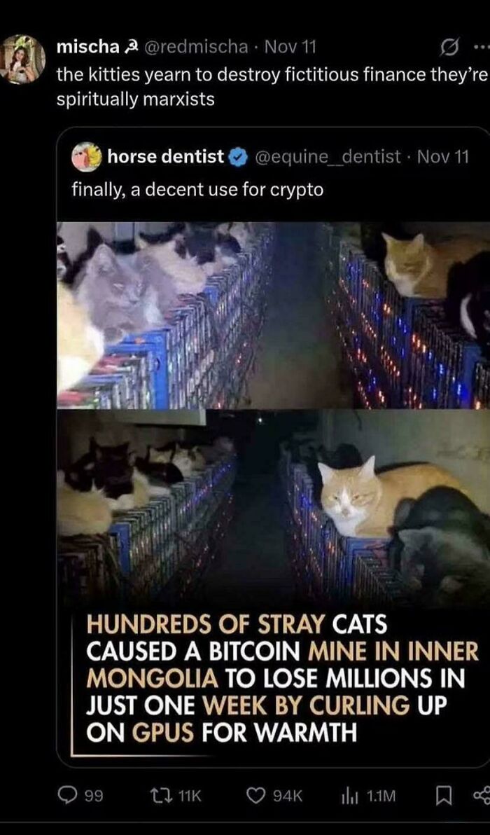 A blursed social media post with images of stray cats on GPUs causing a Bitcoin mine to lose money.