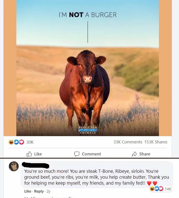 A blursed comment on an image of a cow with the text I'M NOT A BURGER, listing all the beef products it could be.