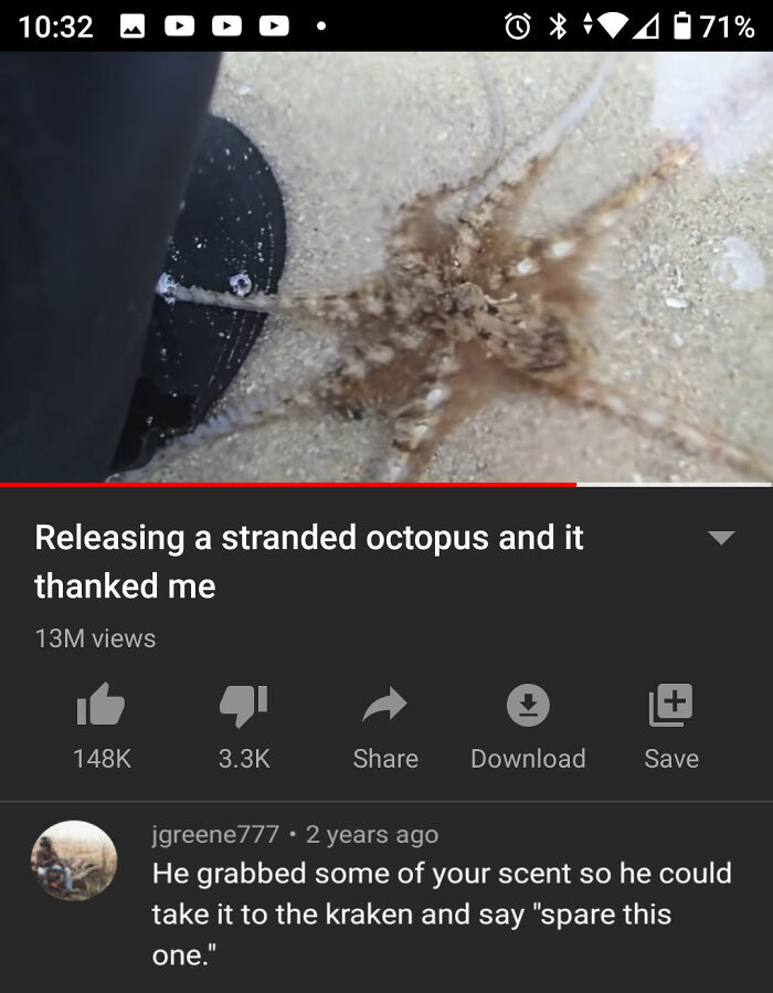 A blursed comment on a YouTube video about an octopus being released, saying it will take the rescuer's scent to the kraken.