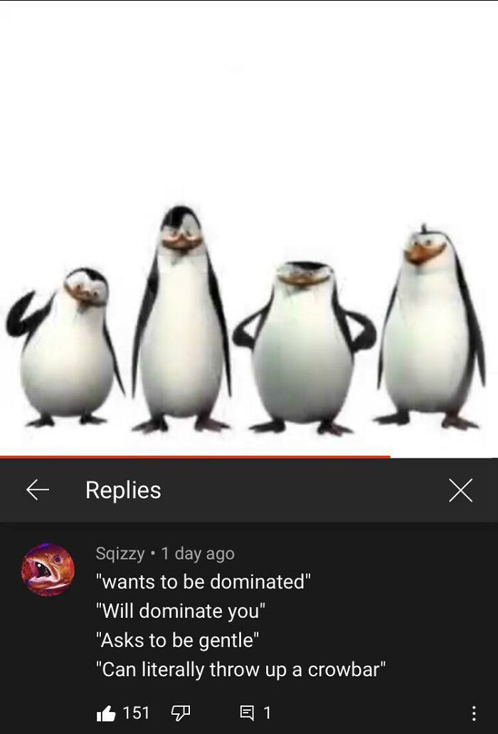 A blursed image of the penguins from Madagascar with blursed comments describing their personalities.