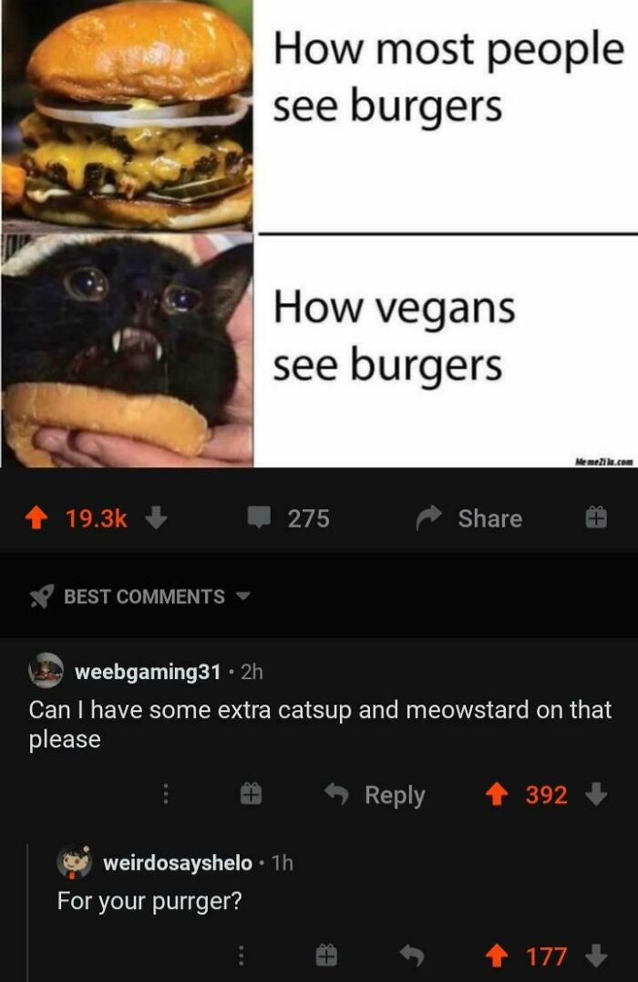 A meme comparing how people see burgers versus how vegans see them, with blursed comments below.