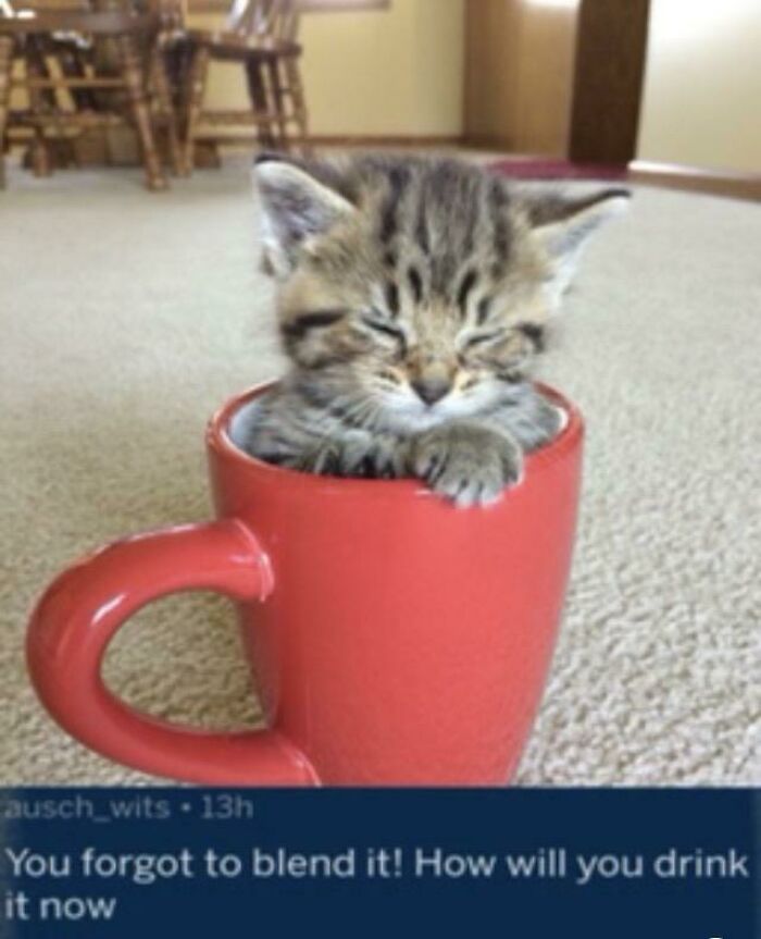A blursed image showing a tiny kitten sleeping inside a red mug, prompting a humorous comment.