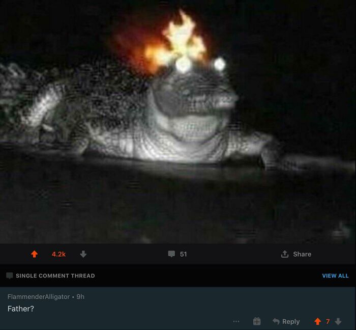 A blursed image of an alligator with flames on its head at night, sparking curious comments.