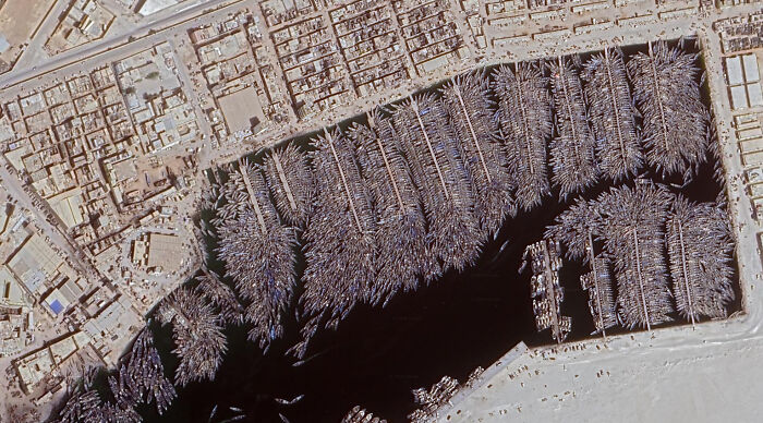 An aerial view of a densely packed port with numerous boats, an odd find on Google Maps.