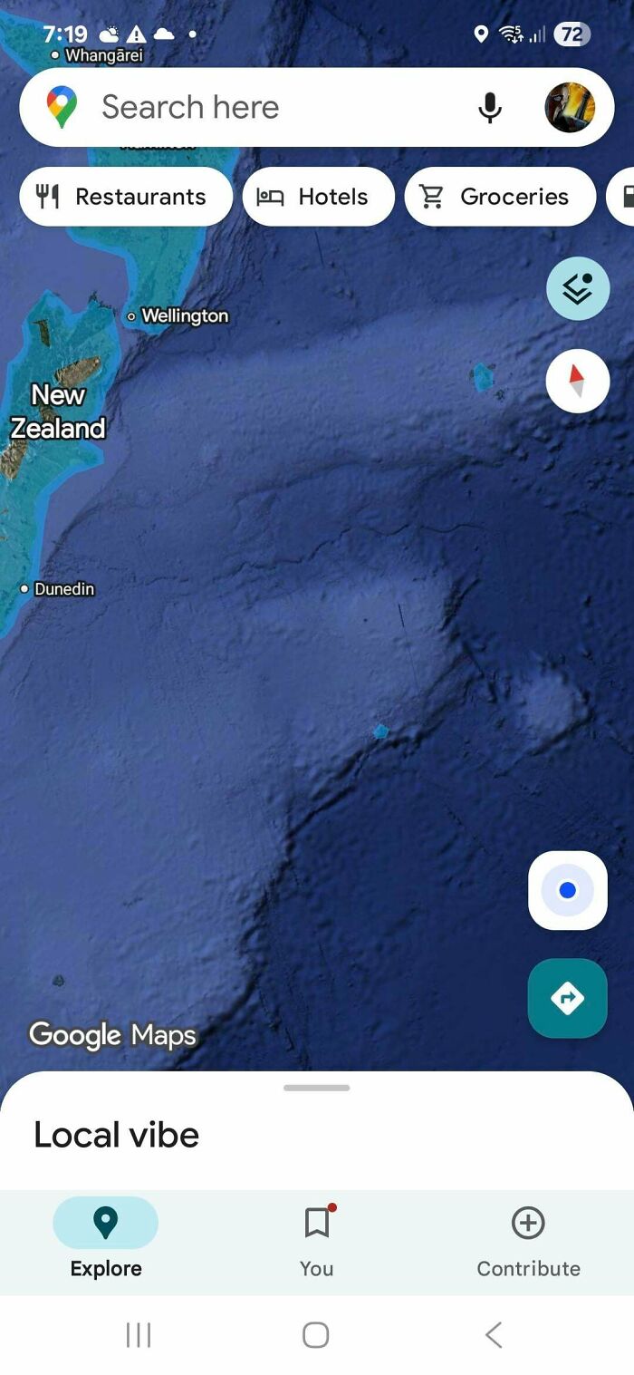 A screenshot of Google Maps showing the area around New Zealand and Dunedin. People find odd things on Google Maps.