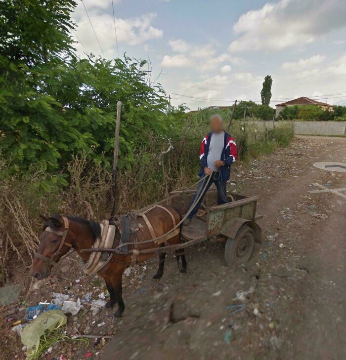 Odd things on Google Maps: A man with a horse and cart on a dirt road next to overgrown bushes.