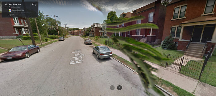 A street view image of a residential street with cars and houses, featuring distorted foliage, an odd Google Maps capture.