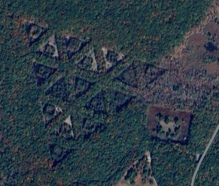 Aerial view of triangle-shaped clearings in a dense forest, an odd find on Google Maps.
