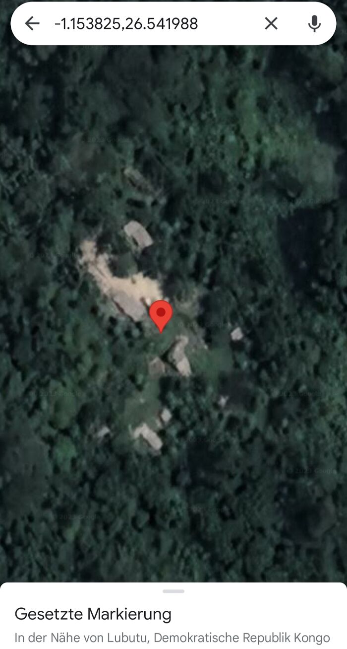 A close-up Google Maps view of a red pin marking a location within a dense forest, highlighting an odd finding.