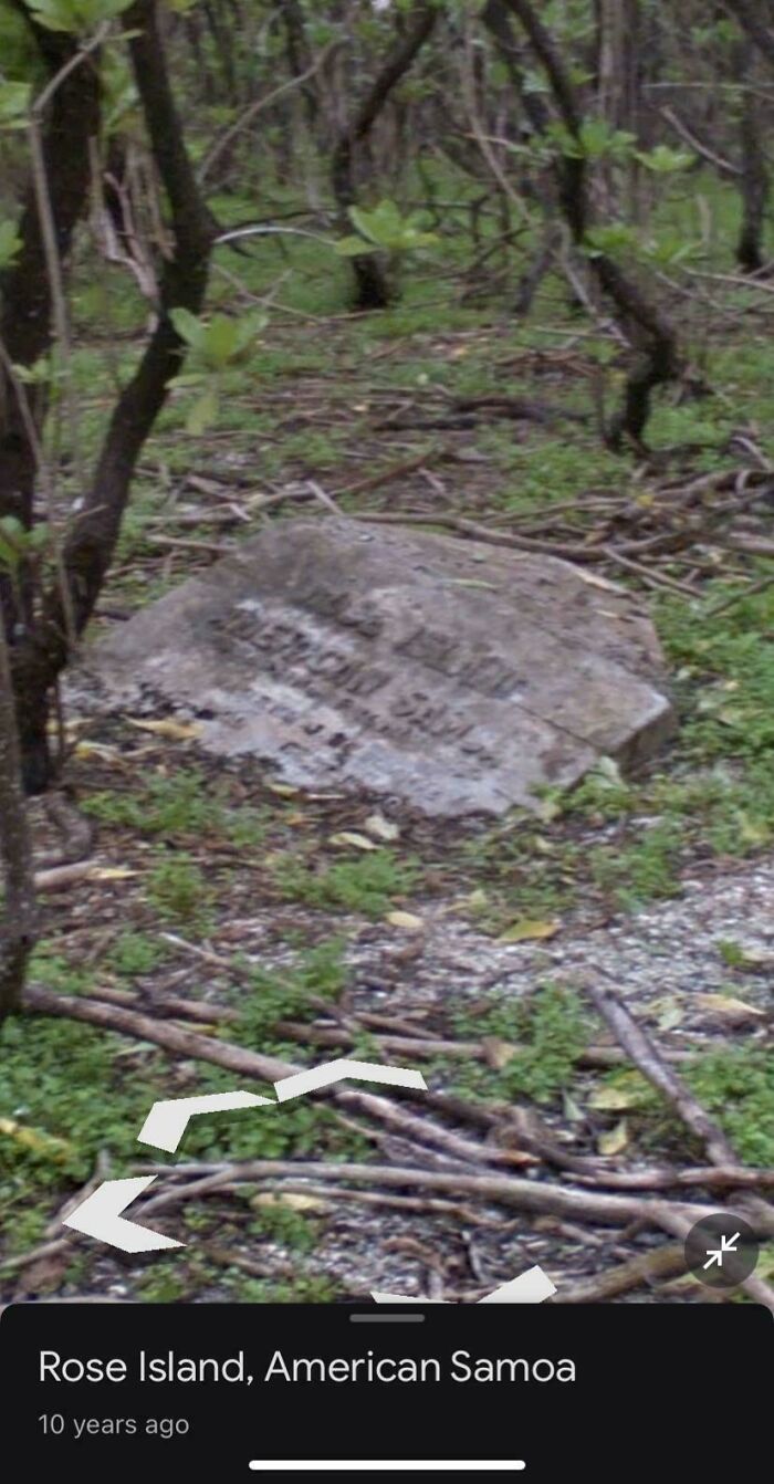 Odd things on Google Maps: a weathered, overturned tombstone or concrete slab with visible text, amidst dense foliage and branches.
