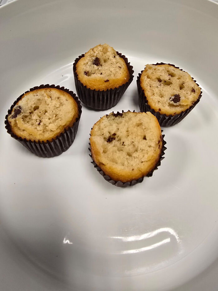 Four mini muffins, with chocolate chips, in a white bowl, representing little hope for humanity.