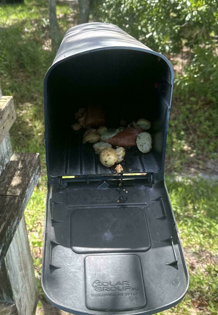 A mailbox filled with rotten food, illustrating little hope for humanity.