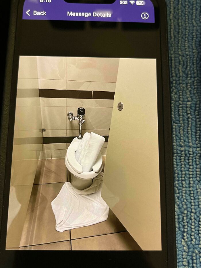 A hotel toilet stuffed with towels, showing little hope for humanity.