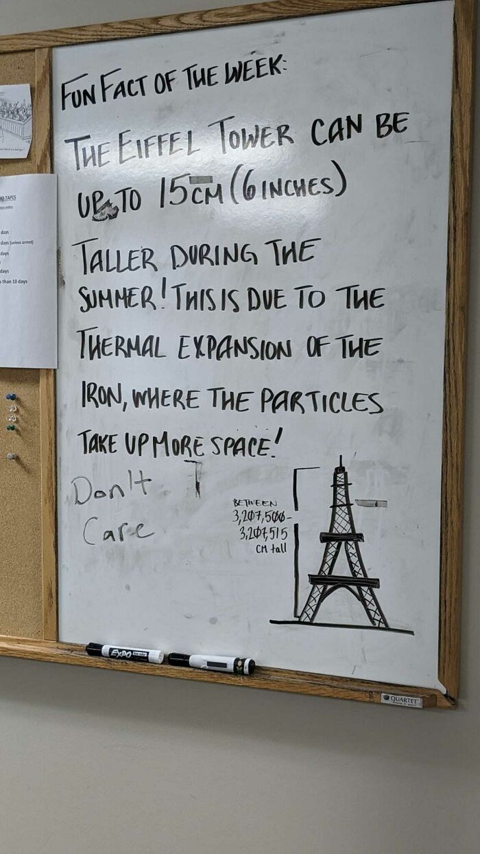 A whiteboard with a fun fact about the Eiffel Tower and a disheartening comment below, showing little hope for humanity.