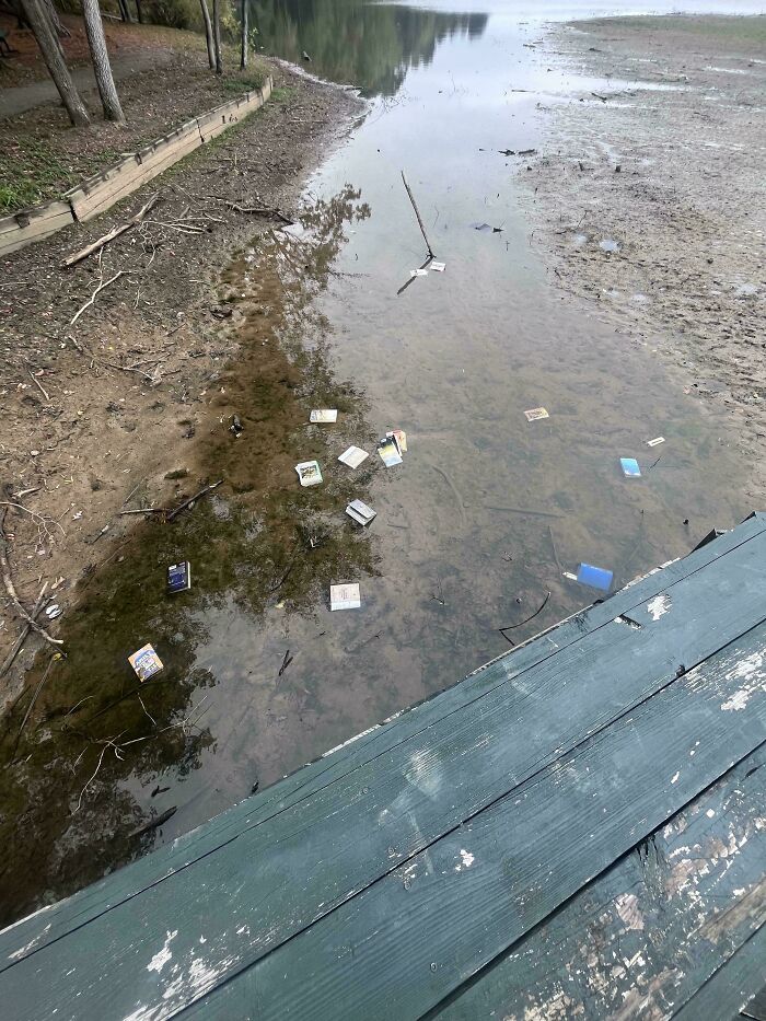 Discarded books floating in a muddy, dried-up stream, a disheartening sight for humanity's care for environment and knowledge.