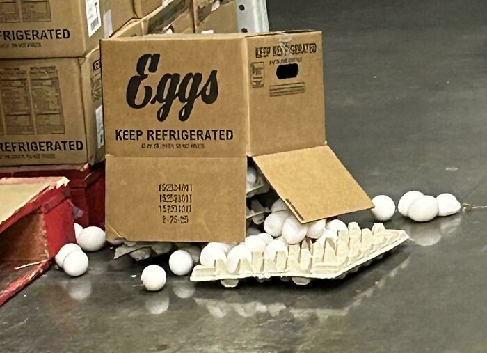 A damaged box of eggs spilled on the floor, symbolizing little hope for humanity in careful handling.