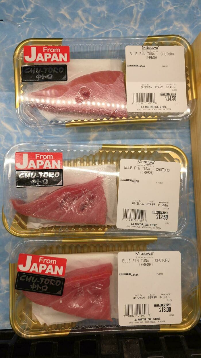 Three packages of fresh chu-toro tuna from Japan, showcasing a lack of hope for humanity.