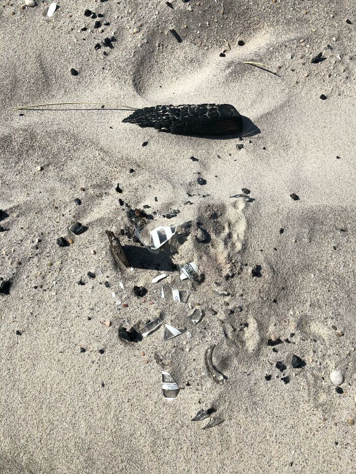 Broken glass and litter scattered on a sandy beach, a sign of little hope for humanity.