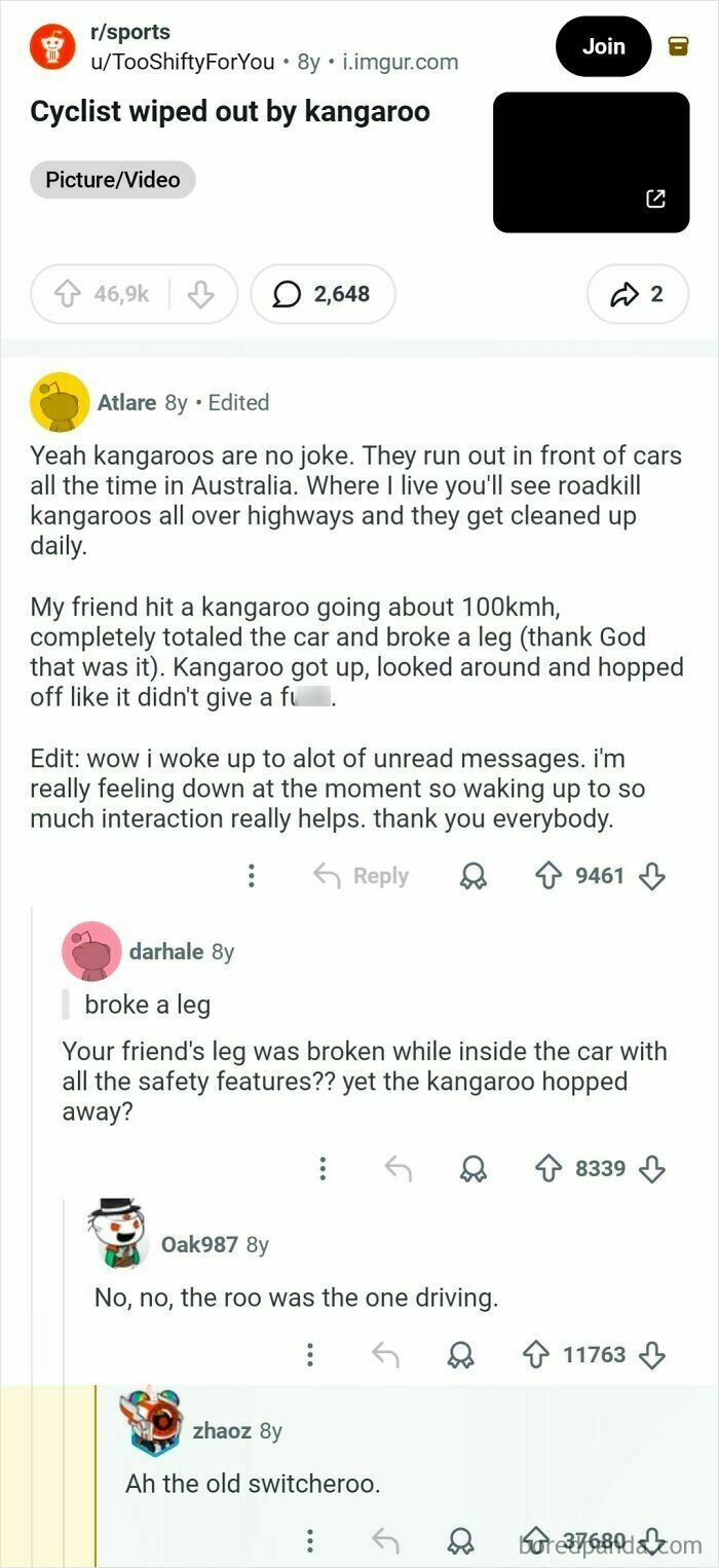 A Reddit post about comments in the hall of fame, with a user describing a cyclist hit by a kangaroo and the resulting broken leg.