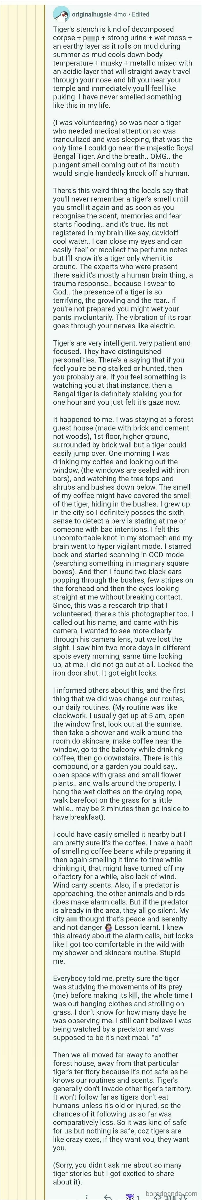 An image of an online post describing an experience with a tiger's sense of smell and other comments.