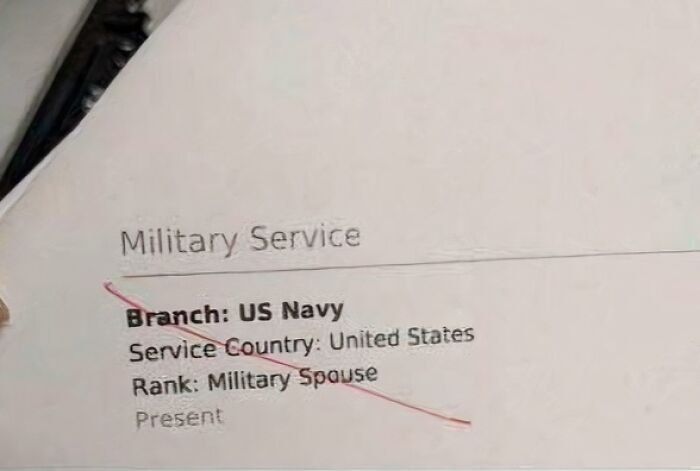 A document showing Military Service details with Military Spouse incorrectly listed as a rank, diminishing hope for humanity.