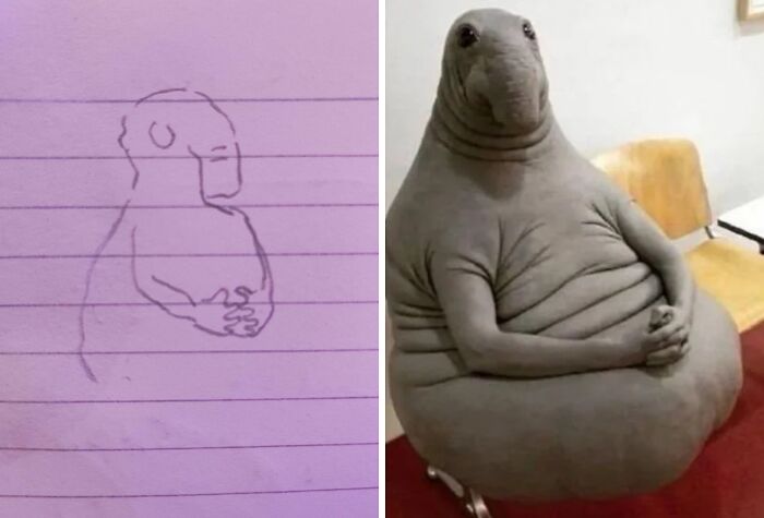 A drawing of a strange creature next to a photo of its real-life counterpart; internet finds this creature.